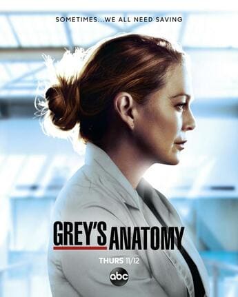Anatomia de Grey 17ª Temporada