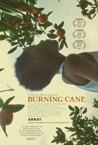 Burning Cane - assistir Burning Cane Dublado Online grátis