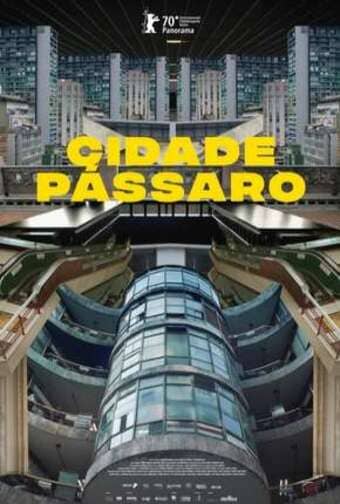 Cidade Pássaro