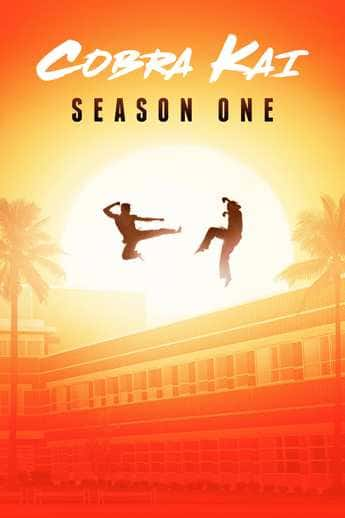 Cobra Kai 1ª Temporada - assistir Cobra Kai 1ª Temporada dublado e Legendado online grátis