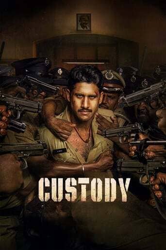 Custody - assistir Custody Dublado e Legendado Online grátis