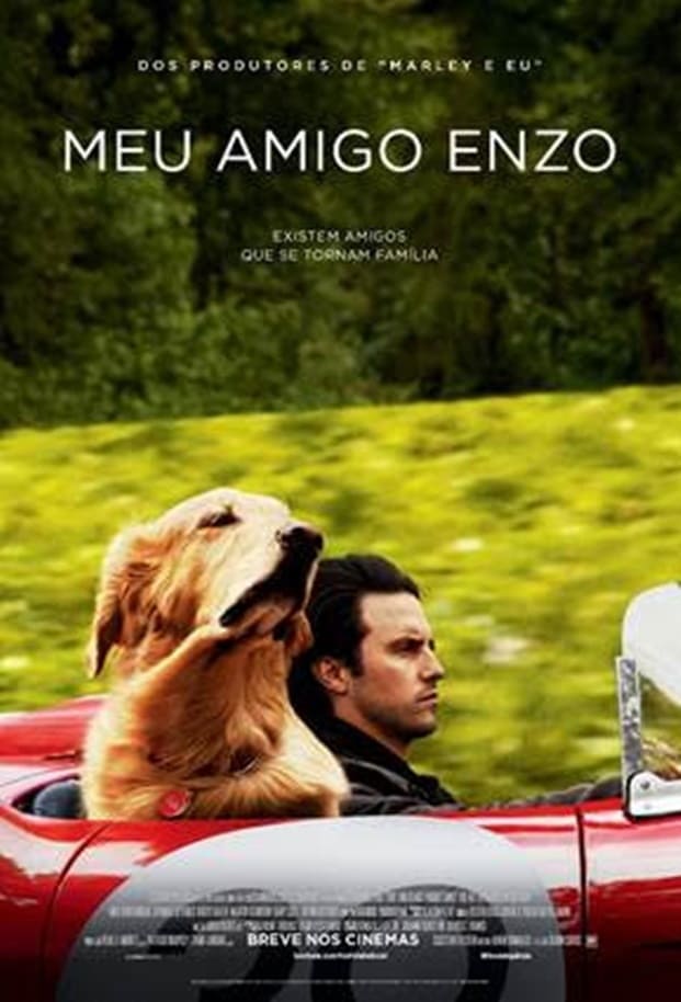 Meu Amigo Enzo (2019) - assistir Meu Amigo Enzo 2019 grátis