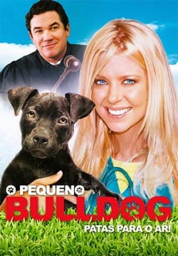 O Pequeno Bulldog - assistir O Pequeno Bulldog Dublado e Legendado Online grátis