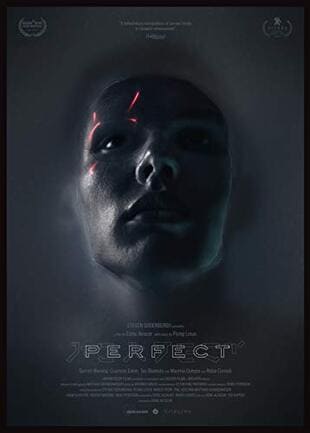 Perfect - assistir Perfect Dublado Online grátis