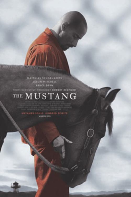 The Mustang - assistir The Mustang dublado online grátis